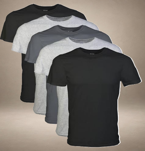 Gildan Men's T-Shirt 5-Pack